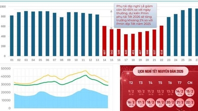 EVN asigură funcționarea stabilă a sistemului energetic național în timpul sărbătorii Tet.