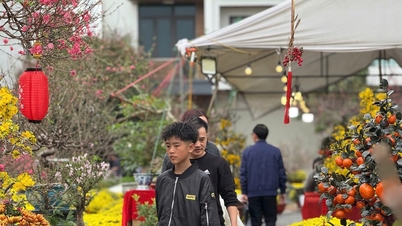 The Tet atmosphere is vibrant in Hai Duong ward (Hai Phong city).