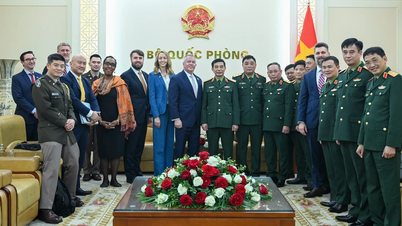 General Phan Van Giang receives the US Assistant Secretary of State.
