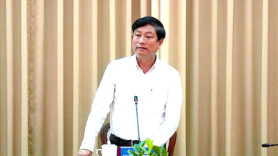 Ho Chi Minh-stad is klaar om in sommige gebieden vervroegde verkiezingen te houden.