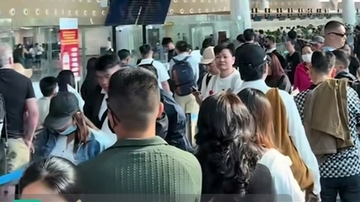 مع تجاوز أعداد المسافرين للتوقعات، يشهد مطار تان سون نهات ازدحاماً شديداً.
