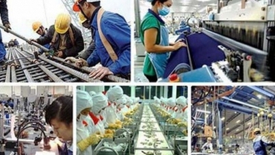 企業の民営化における従業員に関する政策。