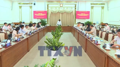 Bandar Raya Ho Chi Minh secara proaktif merancang pilihan raya awal di kawasan tertentu.