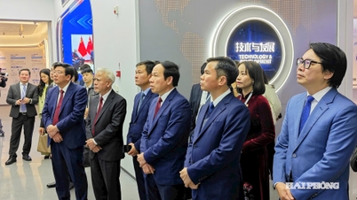 Hai Phong propone fortalecer la cooperación en el campo de la inteligencia artificial (IA) con Guangxi (China).