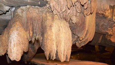 Ninh Binh: La conquista de la cueva de Tien Ca: un mágico "palacio" de estalactitas en el corazón del valle de Thung Nham