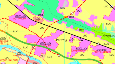 Rencana jalan baru di kelurahan Tran Lieu, kota Hai Phong: jalan sepanjang 8 km di sepanjang sungai Kinh Mon.