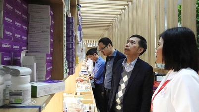 Memastikan bekalan ubat-ubatan untuk rawatan dan pencegahan penyakit semasa Tahun Baru Cina Kuda 2026.