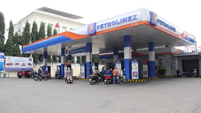 Petrolimex Dak Lak Co., Ltd.: Garantizamos el suministro y transporte de combustible durante las vacaciones del Tet.