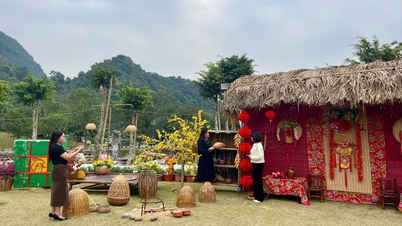 L’industrie touristique de Ninh Binh renouvelle ses produits et améliore les expériences proposées pour le Nouvel An lunaire 2026.