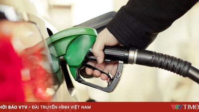 Het Ministerie van Industrie en Handel heeft de vergunning als distributeur van aardolieproducten van KK Petro Company ingetrokken.