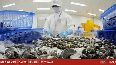 米国はエビ輸入の監視を強化している。