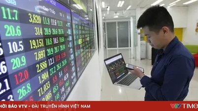 The VN-Index closed the Year of the Snake above 1,820 points.