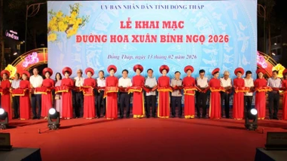 Dong Thap: Otwarcie ulicy Kwiatów Wiosennych w dzielnicach Dao Thanh i Cao Lanh.