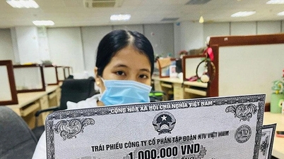 많은 기업들이 채권 규정을 위반한 것으로 드러났습니다.