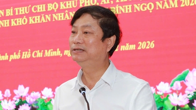 Ho Chi Minh City presents Tet gifts to neighborhood Party branch secretaries in Binh Duong ward.