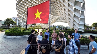 Warga Hong Kong sering mengunjungi Vietnam selama Tahun Baru Imlek.