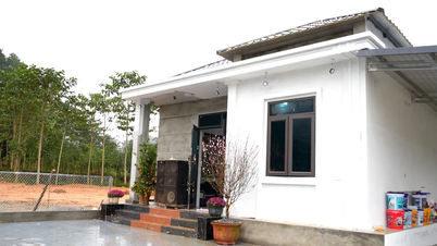 Perayaan Tahun Baru Imlek yang hangat di rumah-rumah baru.