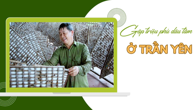 Gặp triệu phú dâu tằm ở Trấn Yên