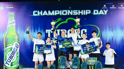 Tuborg Pickleball Final Şampiyonası, en iyi amatör oyuncuları belirleyecek ve kazananlar 350 milyon VND ödül kazanacak.