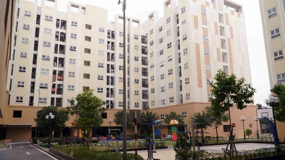 La fuerza impulsora detrás del crecimiento del mercado de apartamentos en el este de Hanoi.
