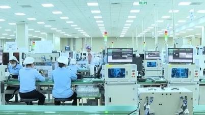 FDI reaches record high, Vietnamese businesses face pressure from ESG standards.