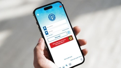 Implementação de cadernetas eletrônicas de previdência social e cartões de seguro saúde em todo o país.