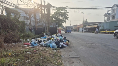 Tapak pelupusan sampah haram menyebabkan pencemaran alam sekitar.