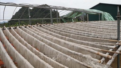 Traditional craft villages prioritize food safety.