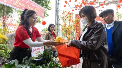 Nesten 34 milliarder VND i «Tet of Compassion»-gaver nådde over 56 000 mennesker i Hai Phong.