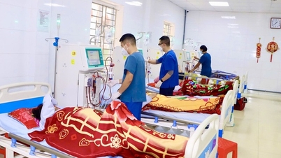 Semasa Tet (Tahun Baru Vietnam), hospital memasuki tempoh puncak tugas kecemasan.