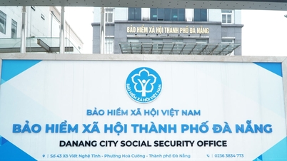 ក្រុមហ៊ុនធានារ៉ាប់រងសង្គមទីក្រុងដាណាំងដំណើរការគំរូថ្មីនេះបានយ៉ាងរលូន ដោយរក្សាបាននូវល្បឿនស្ថិរភាពនៃសេវាសន្តិសុខសង្គម។