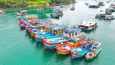 An Giang ontwikkelt zijn maritieme economie in een moderne en duurzame richting.