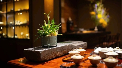 フオン・トゥイ・ティエンはお茶の国で旧正月を待っています。