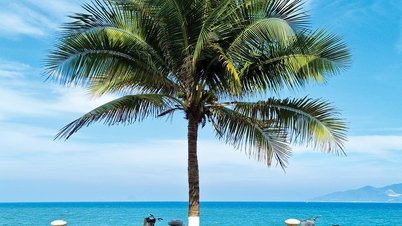 I love Nha Trang!