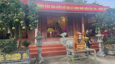 Le festival de printemps du temple Dai An 2026 aura lieu les 20 et 21 février.