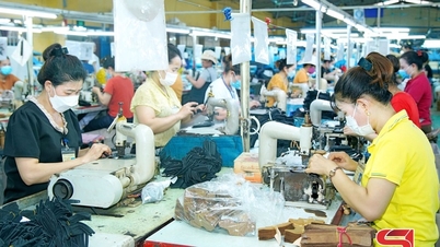 Kinh tế tư nhân đón mùa xuân mới