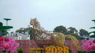 152 Tran Phu Spring Flower Park – et nytt innsjekkingssted for folk i Ho Chi Minh-byen.