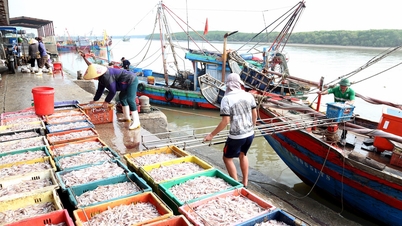ដំណើរនេសាទចុងក្រោយនៃឆ្នាំនេះ ទទួលបានផលច្រើន ហើយអ្នកនេសាទមានសេចក្តីរីករាយ ពីព្រោះអាហារសមុទ្រកំពុងមានតម្លៃល្អ។