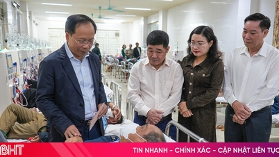 Le secrétaire provincial du Parti et le président de l'Association vietnamienne des personnes âgées présentent leurs vœux de Nouvel An aux patients gravement malades et aux bénéficiaires de l'aide sociale.