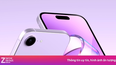 Портрет готовящегося к выпуску бюджетного iPhone после китайского Нового года.