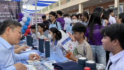 A number of universities are opening new and attractive majors.
