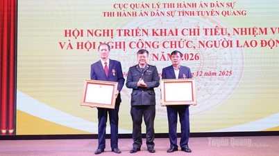Penegakan hukum perdata di provinsi Tuyen Quang mengatasi berbagai kesulitan dan meraih kesuksesan dalam satu tahun.