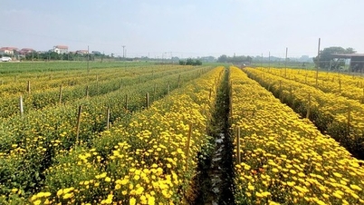 Vårens ånd sprer seg fra blomsterhagene til bygatene.