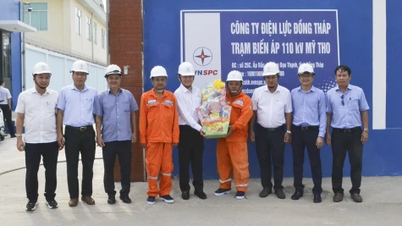 Southern Power Corporation berkunjung, menyampaikan ucapan selamat Tahun Baru, dan memeriksa pengoperasian jaringan listrik di Dong Thap.