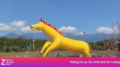 La verdad detrás de la llamativa mascota 'híbrida de caballo y ciervo' en Lai Chau.