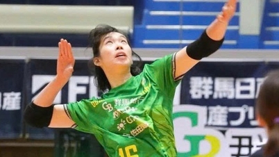 Vietnamesisk volleybollstjärna lyser i Japan.