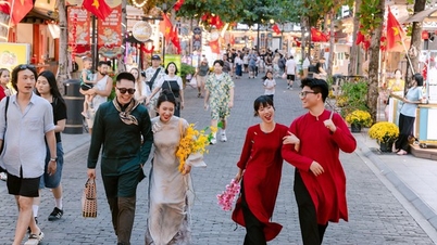 Phu Quoc, Vung Tau ve Tay Ninh'in, Ay Takvimi'ne göre At Yılı'nda Güney Vietnam'ın en popüler turistik yerleri olması bekleniyor.