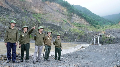 Quang Ninh: Se intensifican las inspecciones y el manejo de las actividades mineras durante las vacaciones del Año Nuevo Lunar.