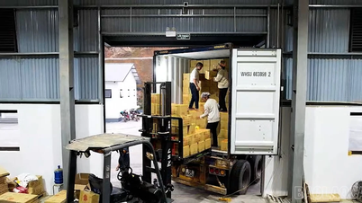 From local advantages to the export value chain.