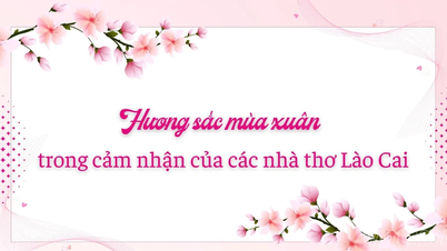 The beauty and charm of spring as perceived by poets in Lao Cai.